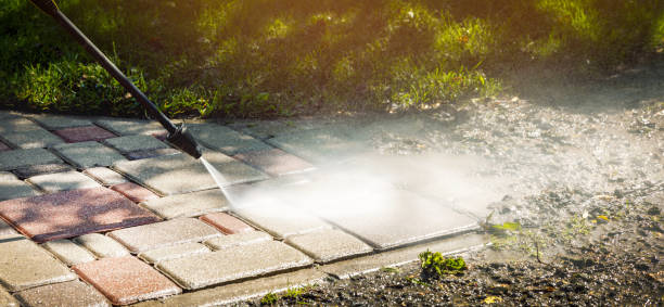 Animal Enclosure Cleaning in Magna, UT